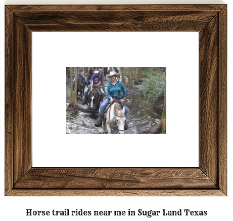 horse trail rides near me in Sugar Land, Texas